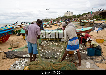 Fish market Negombo, small market next to Goldy Sands Hotel Stock Photo