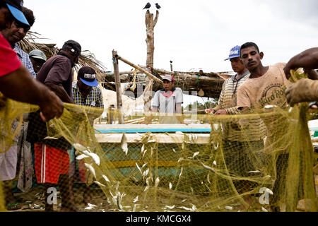 Fish market Negombo, small market next to Goldy Sands Hotel Stock Photo