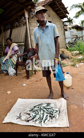 Fish market Negombo, small market next to Goldy Sands Hotel Stock Photo