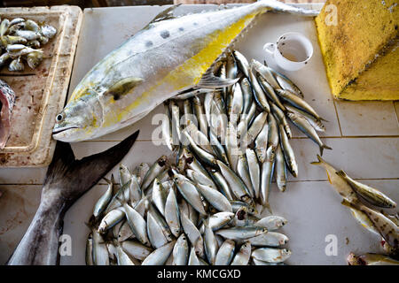 Fish market Negombo, small market next to Goldy Sands Hotel Stock Photo