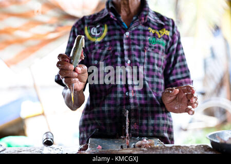 Fish market Negombo, small market next to Goldy Sands Hotel Stock Photo