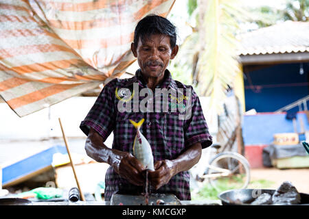 Fish market Negombo, small market next to Goldy Sands Hotel Stock Photo