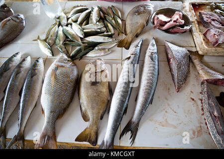 Fish market Negombo, small market next to Goldy Sands Hotel Stock Photo