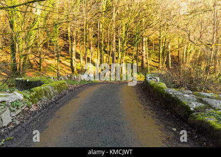 Rural scene at Stara Bridge near Rillaton in East Cornwall Stock Photo