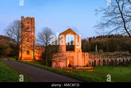 The ruins of Fountains Abbey lit up on a fine autumn evening with elevations lit with flood lights at dusk. Stock Photo