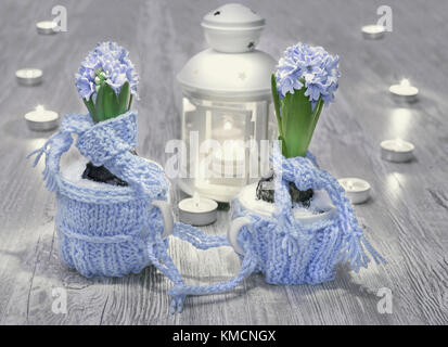 Blue hyacinths with matching decorations and candles on wood Stock Photo