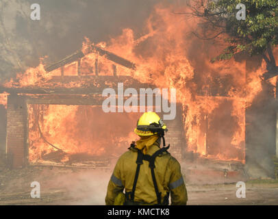 December 5, 2017 -Sylmar California, U.S. - Firefighters battle an early-morning major alarm brush fire that broke out in the Kagel Canyon area above Sylmar Tuesday. The Creek fire has charred about 11,000 acres, burning structures and prompting mandatory evacuations. Credit: Gene Blevins/ZUMA Wire/Alamy Live News Stock Photo