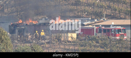 Dec 6, 2017. Bel-Air Ca. LA city firefighters try to save a winery storage building that is own by billionaire Rupert Murdoch Wednesday. The Skirball fire was at 4:52 a.m. on the east side of the freeway and quickly grew to 150 acres by 10 a.m. as crews were working against 15 to 25 mph winds. By 3 p.m. the fire had grown to 475 acres. Photo by Gene Blevins/LA DailyNews/Zuma Press Credit: Gene Blevins/ZUMA Wire/Alamy Live News Stock Photo