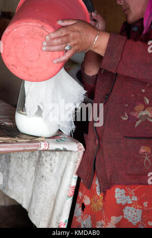 The woman at the camp prepares koumiss in the traditional way Stock Photo