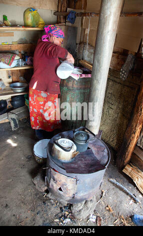 The woman at the camp prepares koumiss in the traditional way Stock Photo