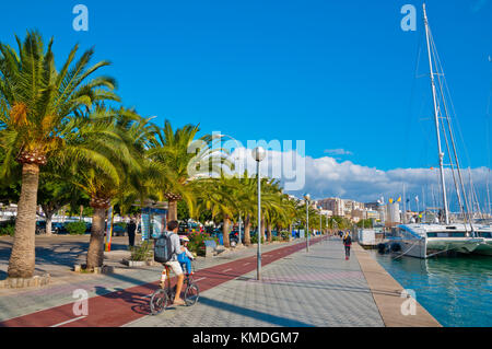 Cycling lane, Paseo Maritimo, Passeig Maritim, Avinguda de Gabriel Roca, Palma, Mallorca, Balearic islands, Spain Stock Photo