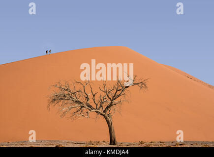 Tourists climbing a dune in the Namibian desert Stock Photo