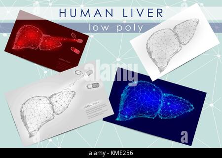 Human liver low poly medicine science illustration set. Internal organ anatomical pain cure concept. Help keep health drug mechanism action vector polygonal geometric point line Stock Vector