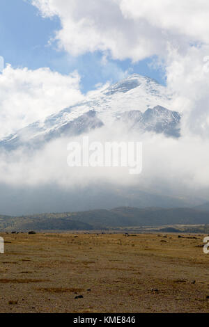 Cotopaxi volcano, Cotopaxi National Park, Ecuador, South America Stock Photo