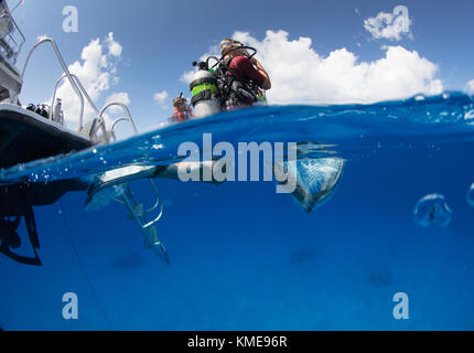 Scuba divers enter water doing giant stride.