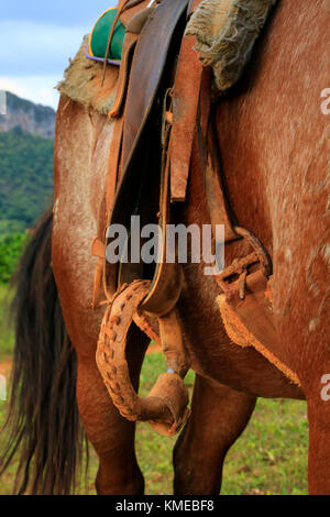 Detail of leatherwork and riding saddle and equipment during horse riding tour through tobacco fincas plantations in Vinales valley,western Cuba Stock Photo