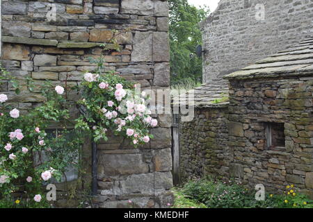 The Village of Thwaite in Upper Swaledale, North Yorkshire, United Kingdom looking towards Angram with Kisdon Fell to the right (south) Stock Photo