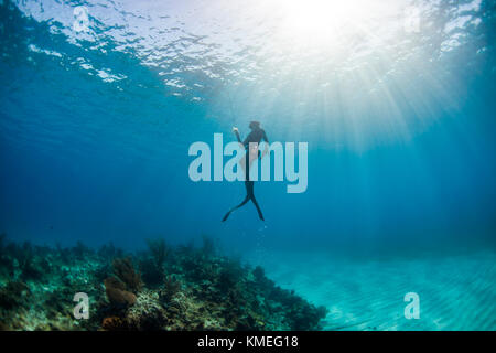 Hawaiian sling hi-res stock photography and images - Alamy