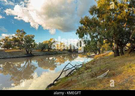 Darling River at sunrise near Bourke in outback north western New South Wales in Australia. Stock Photo