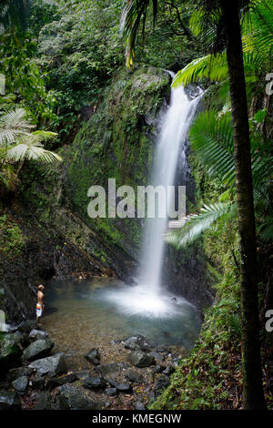 Majestic natural scenery with man standing below one of San Diego waterfalls in El Yunque Rainforest,Rio Grande,Puerto Rico Stock Photo