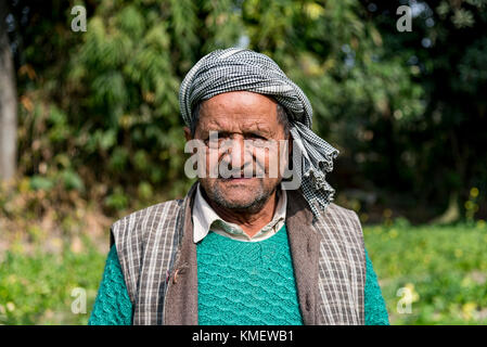 Portrait of an old Indian farmer in his farmland. Stock Photo