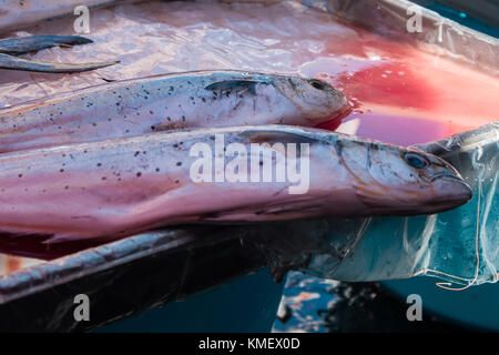 The fish stew stand captured at the Catania (Sicily, Italy) Fish market Stock Photo