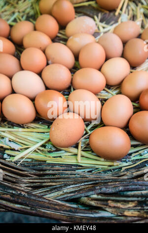 eggs in a basket at the farm Stock Photo