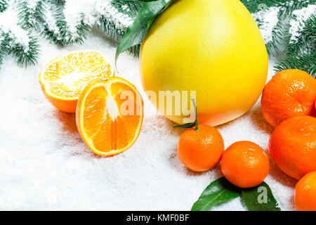 Citrus fruits (orange, lemon, grapefruit, mandarin, lime) Stock Photo