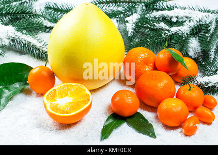 Fresh mandarins, oranges, pomelo, kumquat, kinkan with leaves on white snow. Ripe citrus fruits background. Symbol of the New Year and Christmas Stock Photo