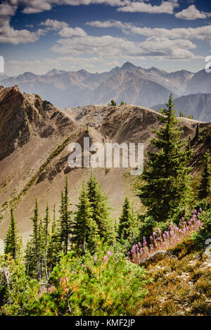 View from Kicking Horse mountain in BC Canada in summer Stock Photo