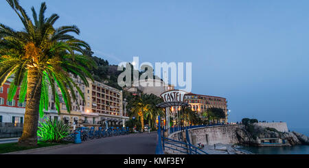 Promenade des Anglais, Castel beach, Palm Tree, Nice, Alpes Maritimes, Provence, French Riviera, Mediterranean, France, Europe, Stock Photo