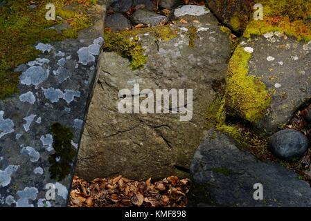 Ri Cruin prehistoric cairn in Kilmartin Valley linear cemetery. 3500-4000 years old. Detail of stone cist side slab showing carvings of bronze axes Stock Photo