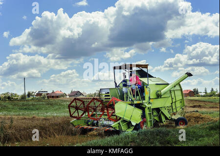 The farmer on the combine harvester is harvesting a grain. Pidhiriya. Ivano Frankivsk state. Ukraine. July 29, 2017. Stock Photo