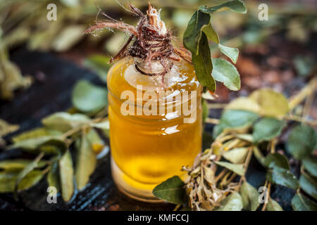 Murraya koenigii,Curry leaves with extracted oil in a transparent bottle.Concept of taking care of hair and skin. Stock Photo