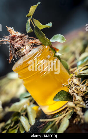 Murraya koenigii,Curry leaves with extracted oil in a transparent bottle.Concept of taking care of hair and skin. Stock Photo