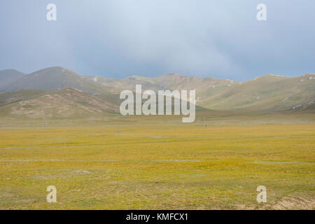 Green yellow valley, Torugart pass, Kyrgyzstan Stock Photo