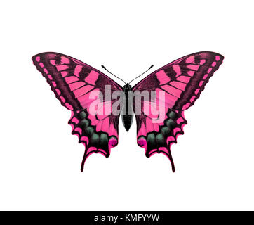 pink butterfly isolated on white background Stock Photo - Alamy