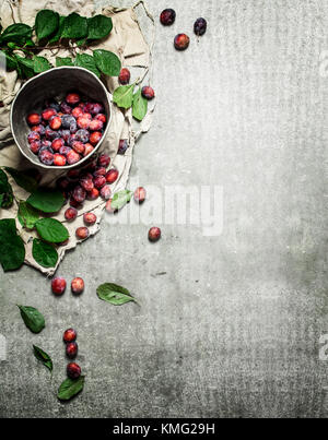 Ripe plums with green leaves. On a stone background. Stock Photo