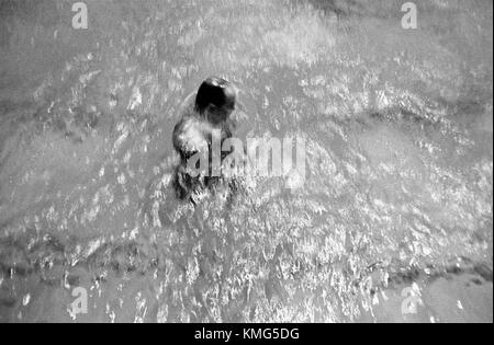 Swimming indoor swimming pool man pushing up from the bottom of the pool 1960s UK HOMER SYKES Stock Photo