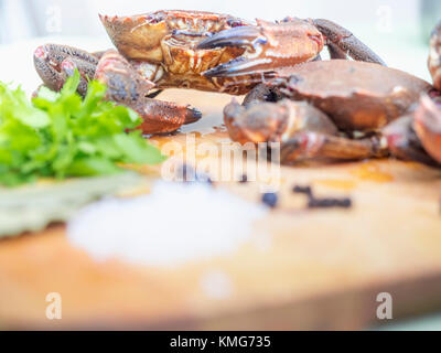 Velvet crab for cooking Stock Photo