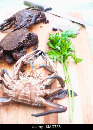 Velvet crab for cooking Stock Photo