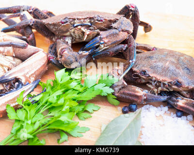 Velvet crab for cooking Stock Photo