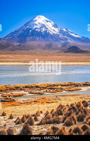 Enormous snowcapped Nevado Sajama volcano in the National Park, Bolivia Stock Photo