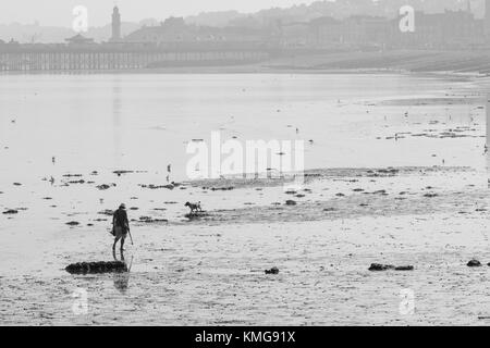 A man walking with his dog along the beach on a misty day. Herne Bay Pier can be seen in the background. Stock Photo