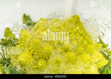 Chou Romanesco Stock Photo Alamy