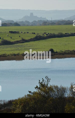 Corfe Castle from Arne Stock Photo