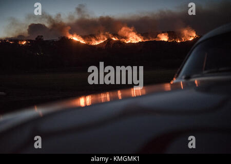 Santa Paula, California, USA. 5th Dec, 2017. Fire picking up in the hillside of Santa Paula, California, during the ''Thomas'' fire. Credit: Morgan Lieberman/ZUMA Wire/Alamy Live News Stock Photo