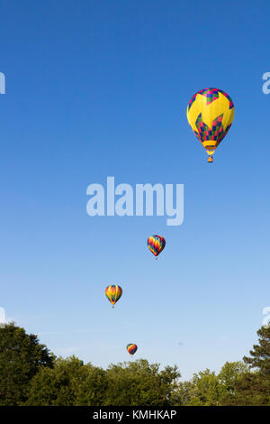 Colorful hot air balloons ascend and float away above the treetops Stock Photo