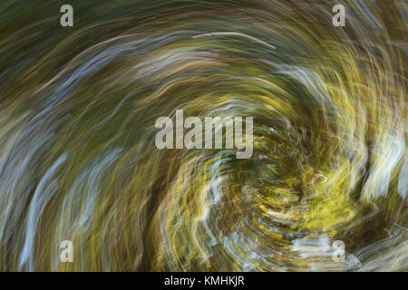 Tidal Wave Abstract of a Tree in Autumn Stock Photo