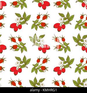 Fruit background Seamless pattern with hand drawn sketch rose hip vector illustration. Stock Vector